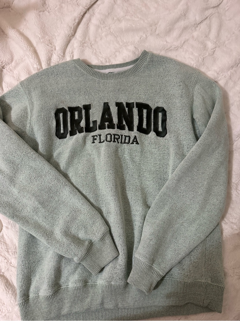 Orlando Florida Crewneck Sweater in Mint Green